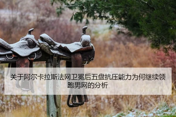 guan-yu-a-er-ka-la-si-fa-wang-wei-mian-hou-wu-pan-kang-ya-neng-li-wei-he-ji-xu-ling-pao-nan-wang-de-fen-xi-2-356.jpg